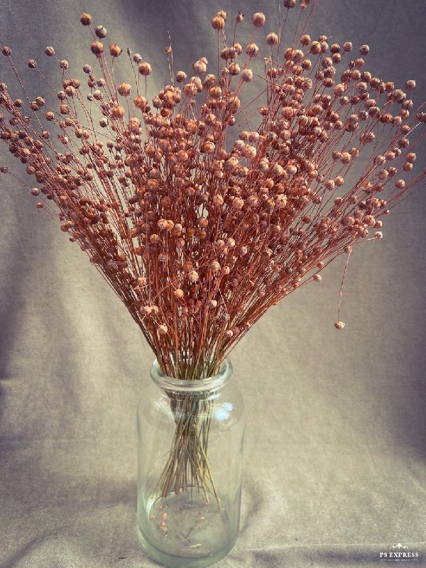 Dried Flower