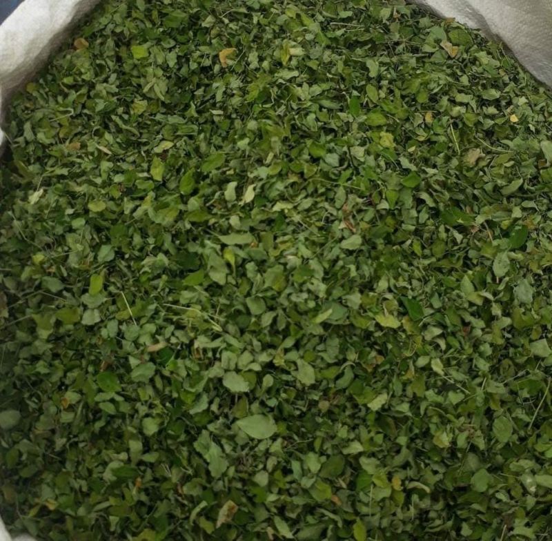 Natural Moringa Leaves