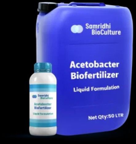 Acetobacter Bio Fertilizer Liquid Formulation