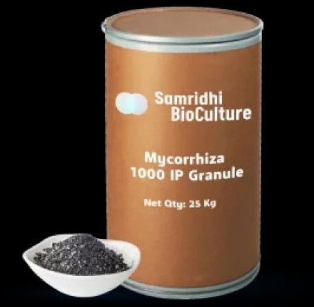 Mycorrhiza 1000 IP
