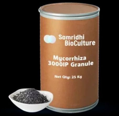 Mycorrhiza 3000 IP