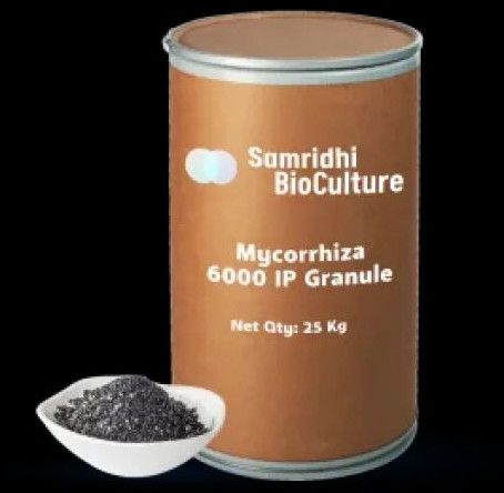 Mycorrhiza 6000 IP