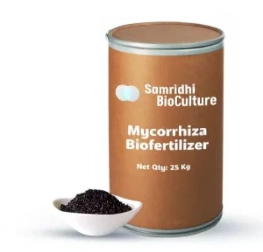 Mycorrhiza Bio Fertilizer Water Insoluble Formulation