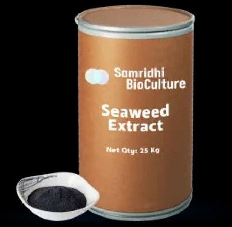 Seaweed Extract Powder Pgr Formulation