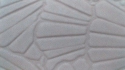 Ultraleather Ecotech Sea Fan Decorative Wall Panel