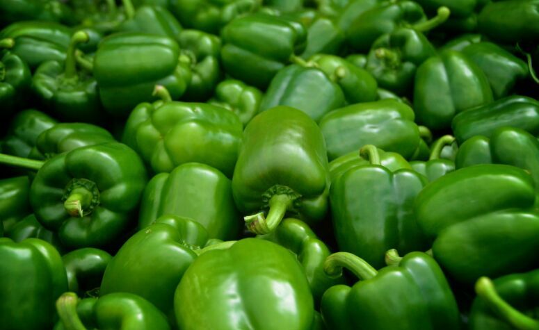 Fresh Capsicum