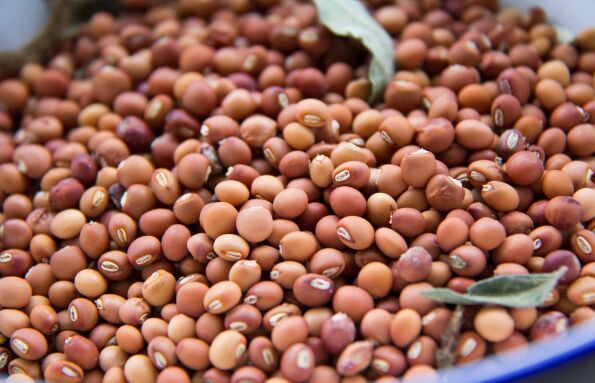 Pigeon Peas (Toor/Tuvar Dal)
