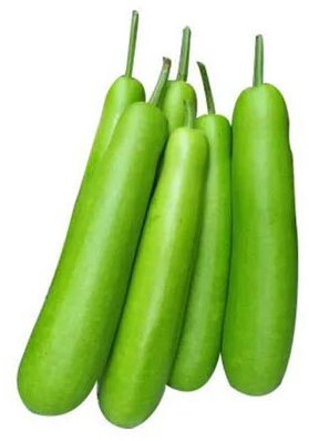 Bottle Gourd, Color : Green