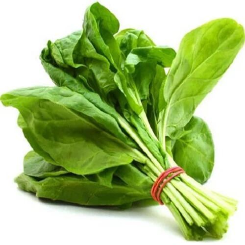 Fresh Spinach, Color : Green