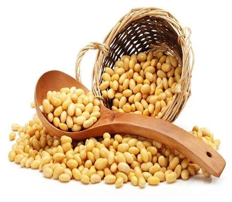 Soya Bean Dal