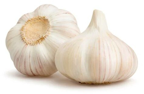 White Fresh Garlic