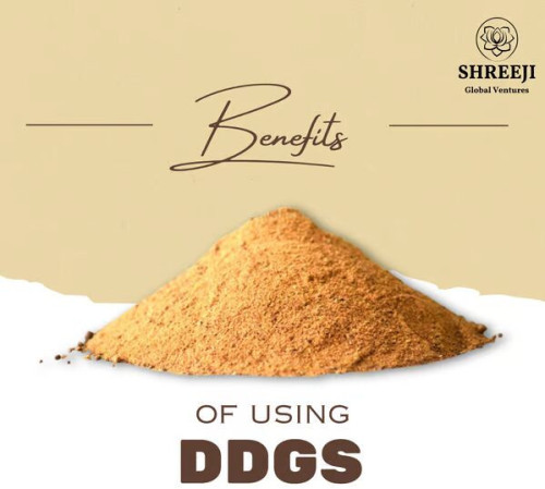 Dried Distillers Grains Solubles (DDGS)