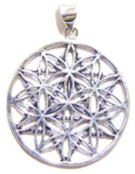 Flower of Life Pendant : Brass with Silver Polish