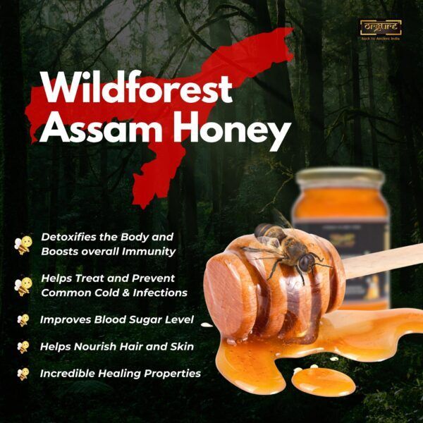 Raw Wild Forest Honey (Assam)