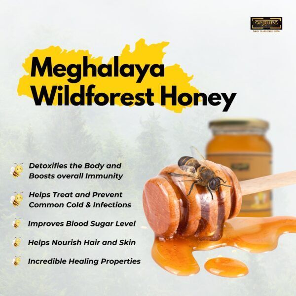 Raw Wild Forest Honey (Meghalaya)