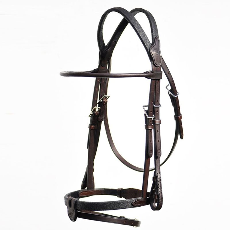 Horse Bridle