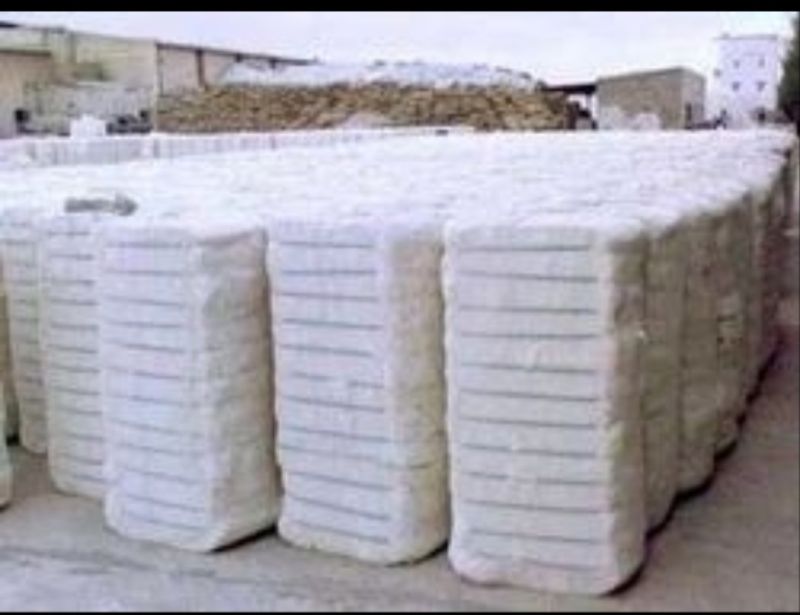 Raw Cotton Bale