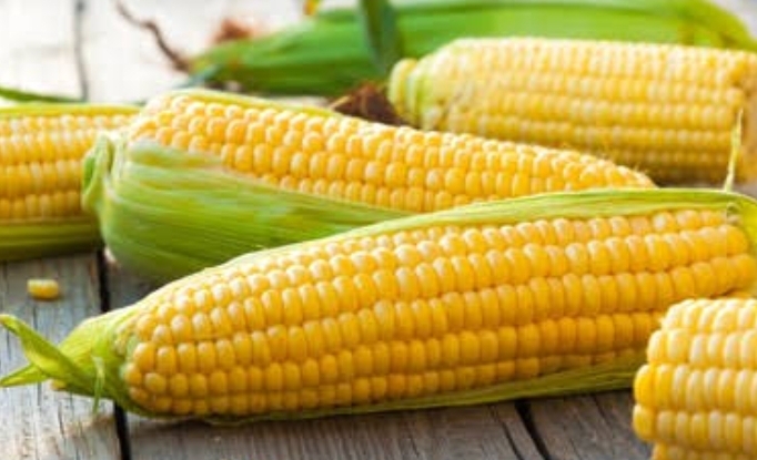 Corn