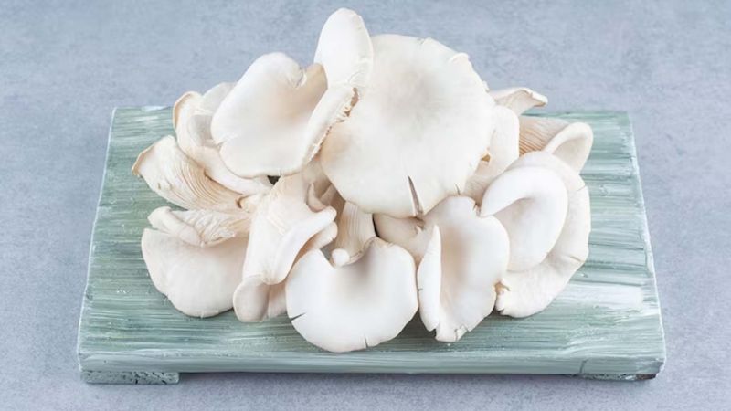 Fresh Oyster Mushroom