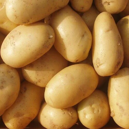 Brown A Grade Super 6 Potato