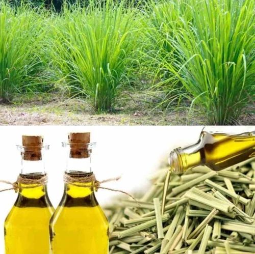 1L Lemon Grass Oil, Color : Pale Yellow, Form : Liquid