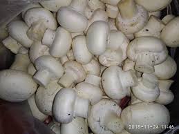 Fresh Button Mushroom, Packaging Size : 500g, 1Kg, 5Kg, 10Kg