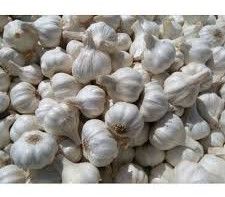 Fresh Ooty Garlic, Color : White, Packaging Size : 1Kg
