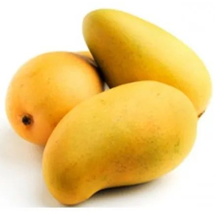 Organic Fresh Neelam Mango, Color : Yellow, Packaging Size : 5-50kg