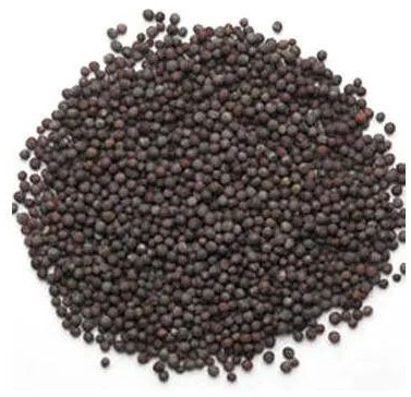 Black Mustard Seeds, Packaging Type : Bag For Cooking