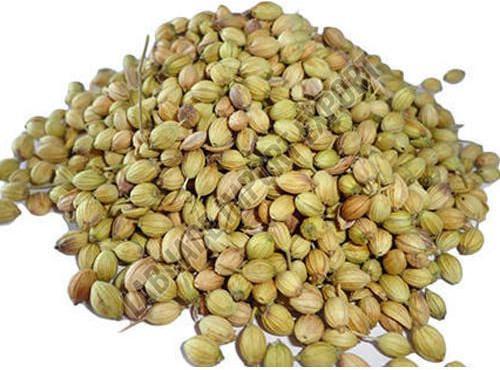coriander seeds