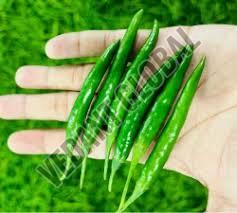A Grade G4 Green Chilli