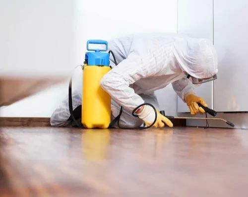 Residential Pest Control Services, Treatment Type : Indoor