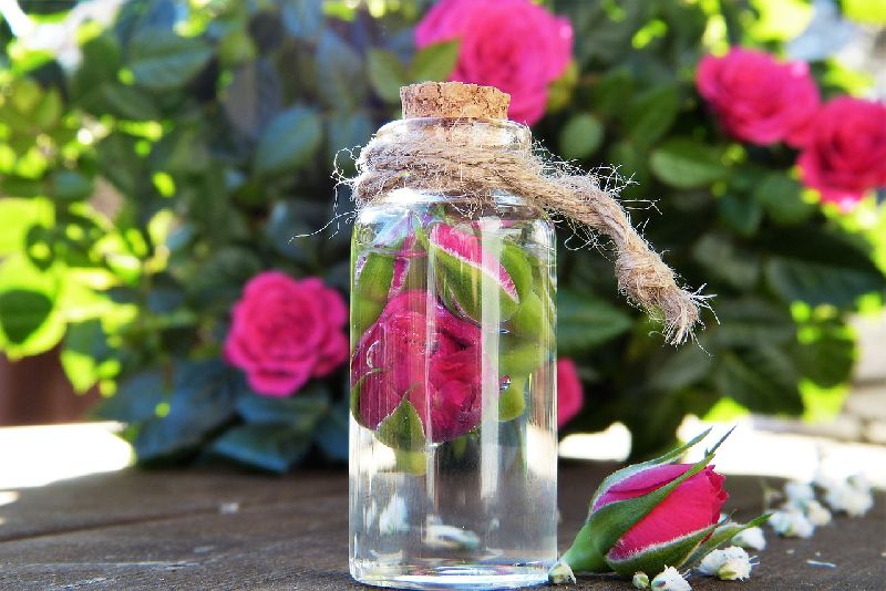 Organic Rose Oil, Color : Transparent, Form : Liquid For Medicals Use, Cosmetics