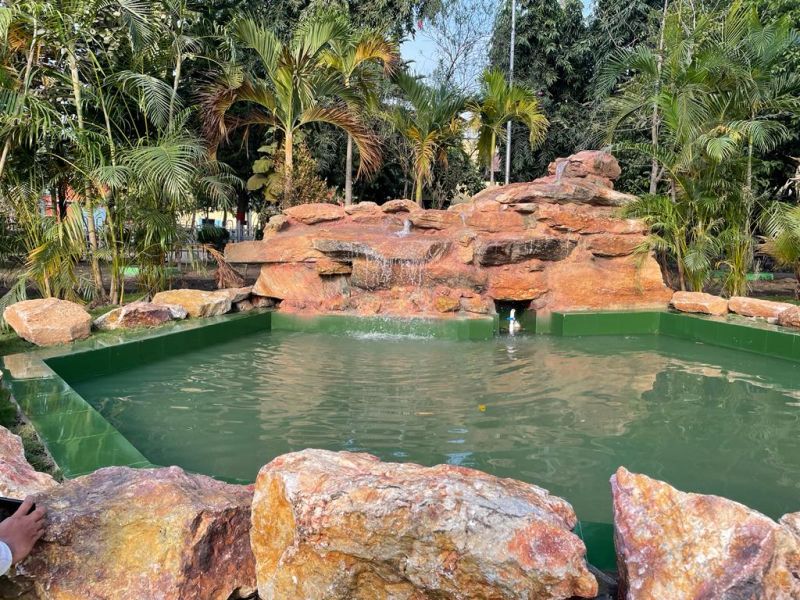 Garden Decorative Items