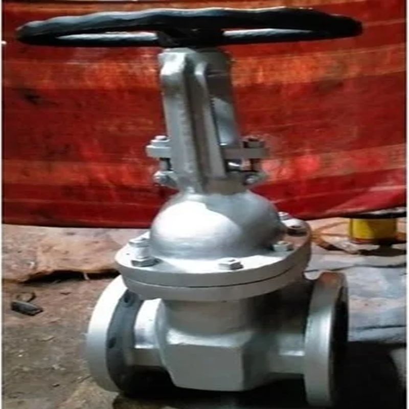 Globe Valve Leader Valve