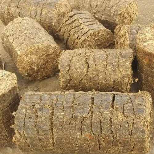 Agro Residue Based Biomass Pellet