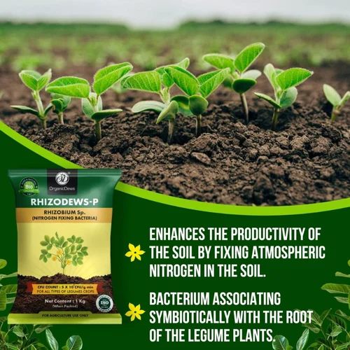 OrganicDews Rhizodews-P Bio Fertilizer