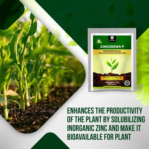 OrganicDews Zincodews-P Bio Fertilizer