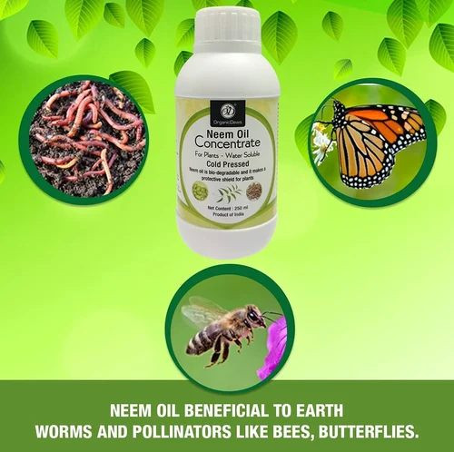 OrganicDews Neem Oil Concentrate