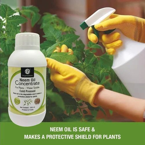 OrganicDews Neem Oil Concentrate