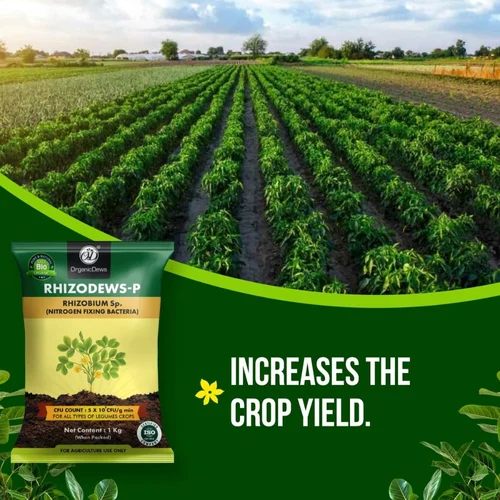 OrganicDews Rhizodews-P Bio Fertilizer