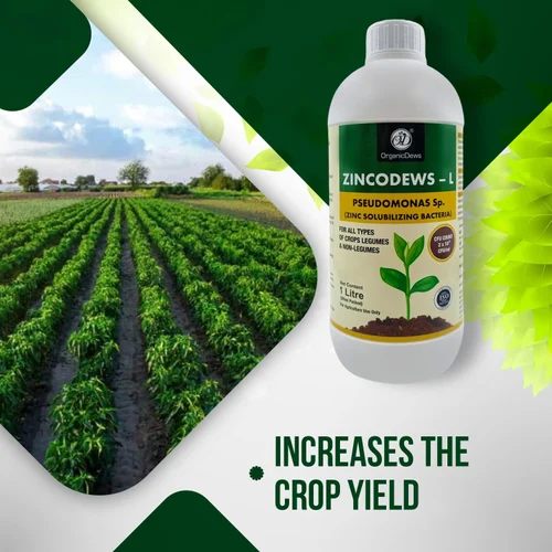 OrganicDews Zincodews-L Bio Fertilizer