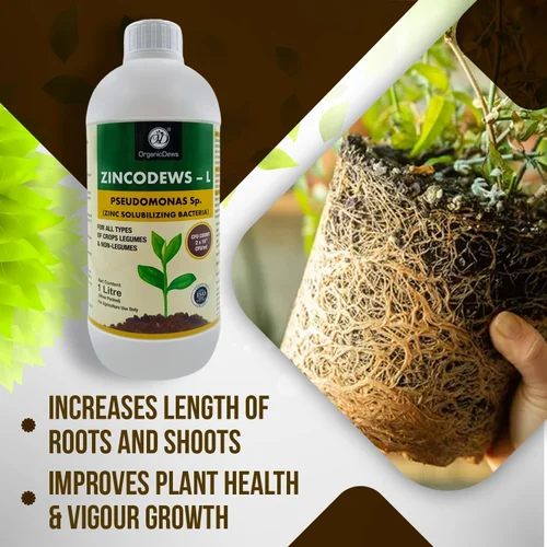 OrganicDews Zincodews-L Bio Fertilizer