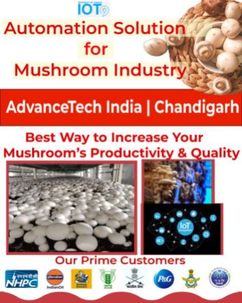 Mushroom Chamber Automation