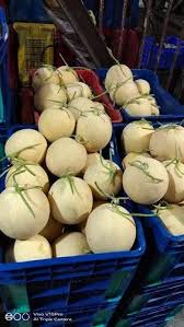 A Grade Bobby Fresh Muskmelon