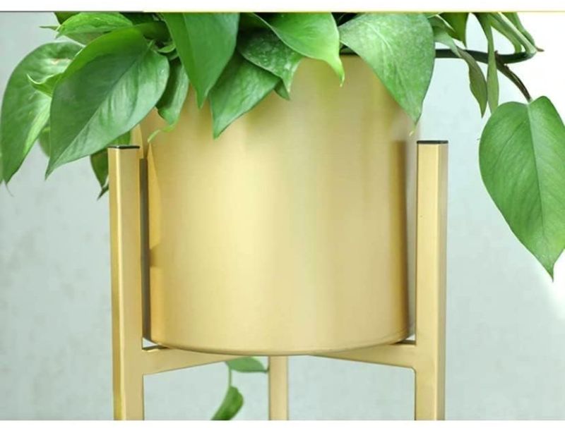 Plant Stand