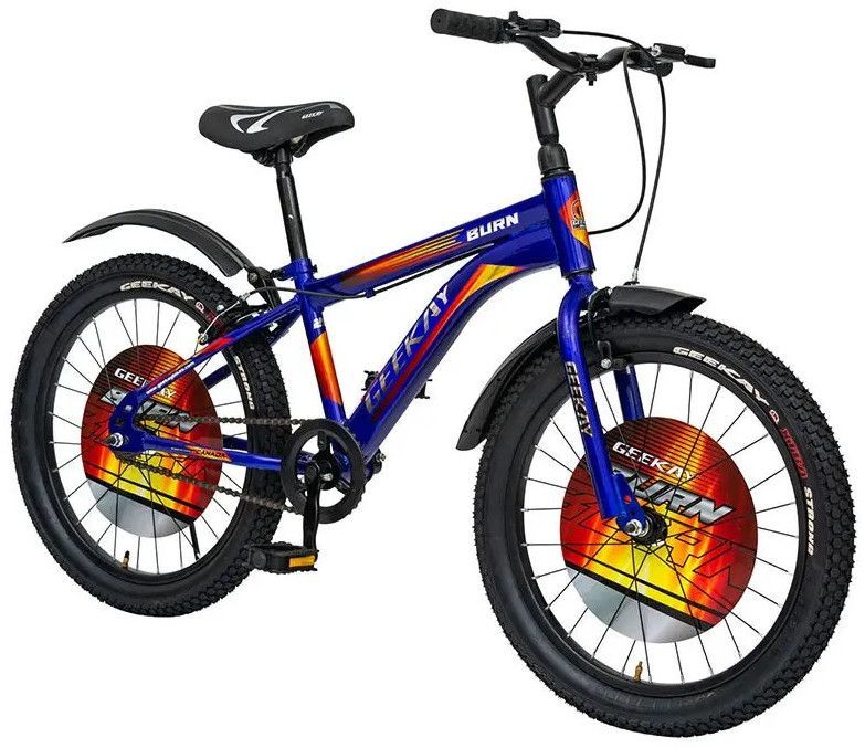 BURN - SUSPENSION FORK Boys Bicycle 20T