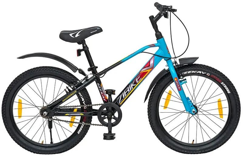 ZIBIKE Boys Bicycle 20T