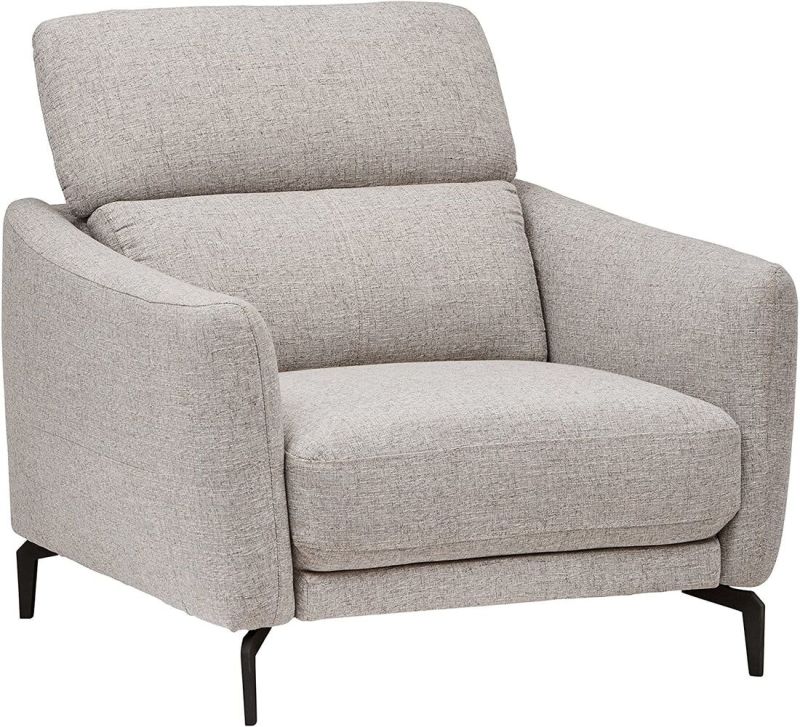 Sofa Chair : Light Grey Living Room Arm Chair