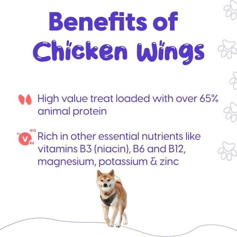 Chicken Wings Real Treat for Dogs